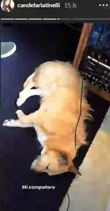 Candelaria supo lanzar Yo, Lelé.