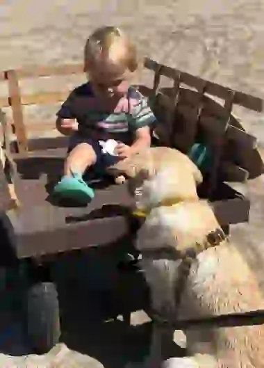 Mirko es fana de la playa y de su cachorro.