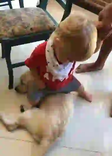 El rubio, todo el tiempo arriba del perro.