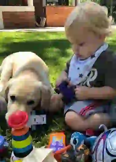 ¡Qué hermosos son!