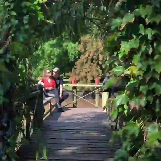 En los paseos por Buenos Aires ya se dejan ver.