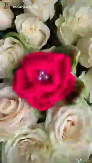 Blanca falleció hace seis años y siete meses.