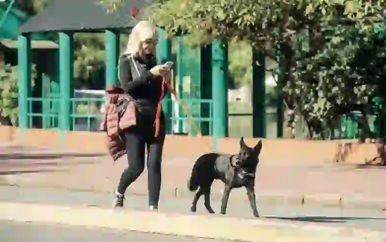 Alfano sufrió un gran susto y debió recurrir a la policía