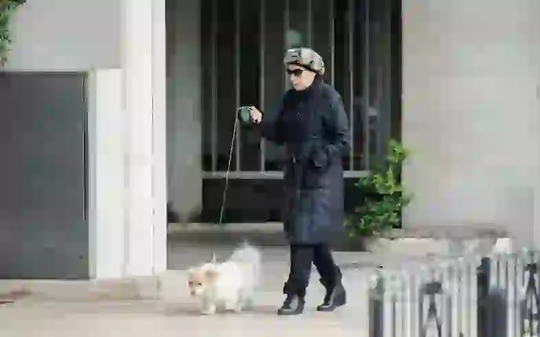 Graciela Borges y sus deseos de volver a enamorarse