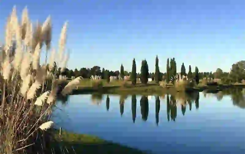 Estas son algunas de las vistas del barrio top.