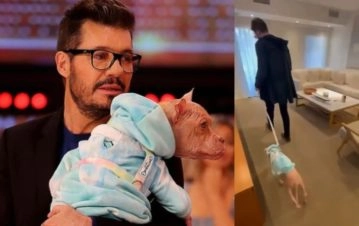 ¡Bien acompañado! Marcelo Tinelli mostró "un tour" por el interior de su camarín con su perrita Bricia