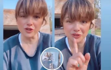 El revolucionario sistema que usa Araceli González para cuidar a los 8 cachorritos que tuvo su perra