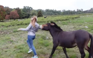El insólito momento que pasó la novia de Gonzalo Vázquez, el notero de Intrusos, con un burro en Tandil