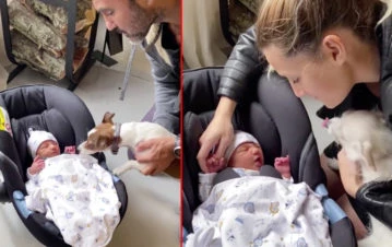 El tierno video del hijo de Mica Viciconte y Fabián Cubero al conocer a sus mascotas