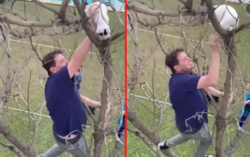 Bebe Contepomi se vistió de héroe y salvo a la mascota de la familia de manera heroica