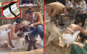 ¡Nunca visto! A Silvina Escudero y a Federico les llevaron los anillos sus perros Mulata y Branca: el video