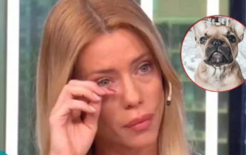Nicole Neumann denunció que le robaron a su perra Shiva y pidió ayuda: "Si la comprás, sos tan maligno como..."