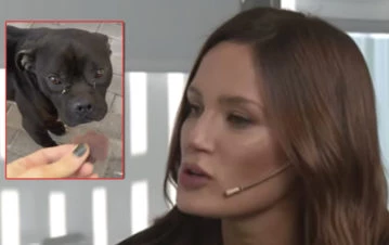Paula Chaves rescató un perro en un centro comercial: "Pedro durmió con él porque lloraba mucho"