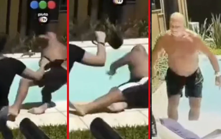 Alfa cayó a la pileta y se accidentó feo