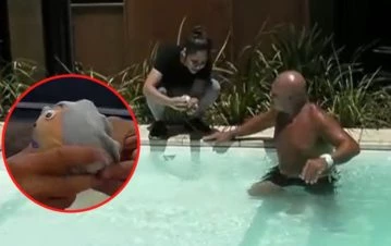 Maxi y Nacho crearon un muñeco en honor a Alfa y él estalló de bronca en Gran Hermano