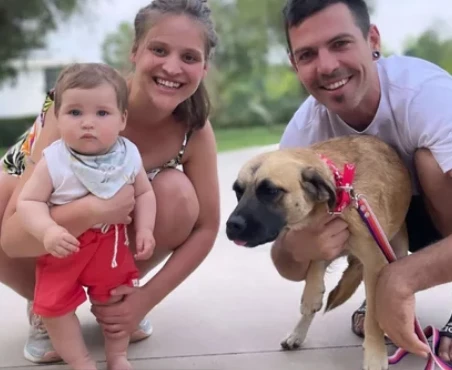 Paula Chaves postep familia adopcion perra 1.png