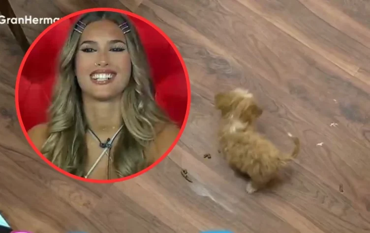 La estrategia de Julieta Poggio para no limpiar a los perritos de Gran Hermano