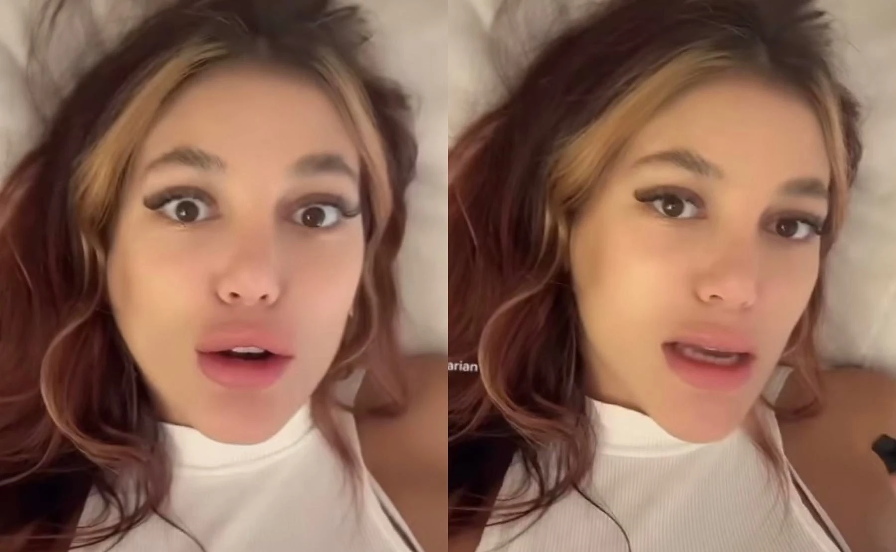 Los perfumes de Farjat