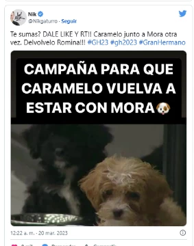 La campaña para que Romina devuelva a Caramelo