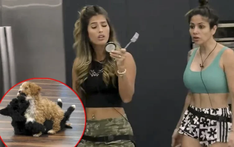 Julieta enojada con los perros