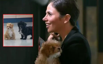 Cómo es la campaña para que Romina devuelva al perro a Gran Hermano