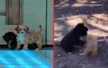 El emotivo reencuentro entre Mora y Caramelo tras ser separados en Gran Hermano