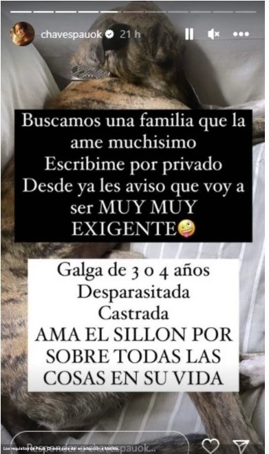 Paula Chaves le busca una familia a Matilda