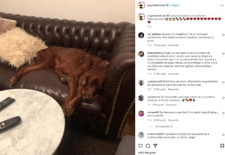 El recuerdo de Ángel de Brito de su perro Chester
