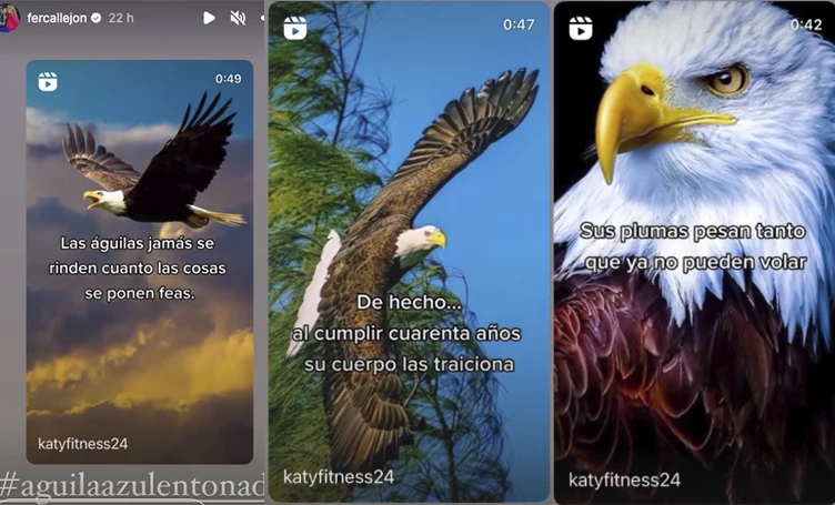 MARIA FERNANDA CALLEJON ELIGIO LA IMAGEN. DE UN AGUILA PARA MANDARLE UN MENSAJE A YANINA LATORRE