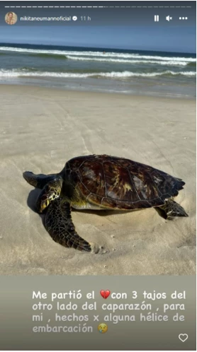 Nicole Neumann triste por una tortuga