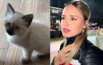 La angustia de Coti de Gran Hermano tras el accidente que sufrió su gatita: “Se fracturó la…”