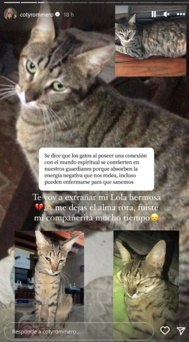 Coti Romero despidió a su gata
