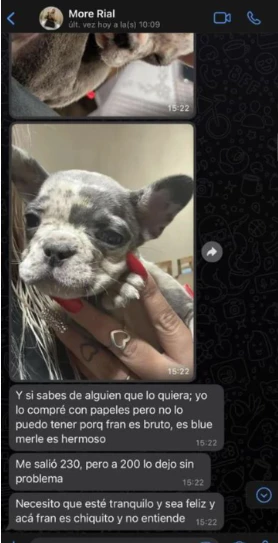 Morena Rial quiere vender a su perro