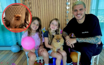 Puro lujo: así trajo Mauro Icardi a la Argentina a sus mascotas en un avión privado