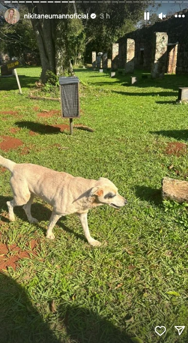 Nicole Neumanne en Misiones