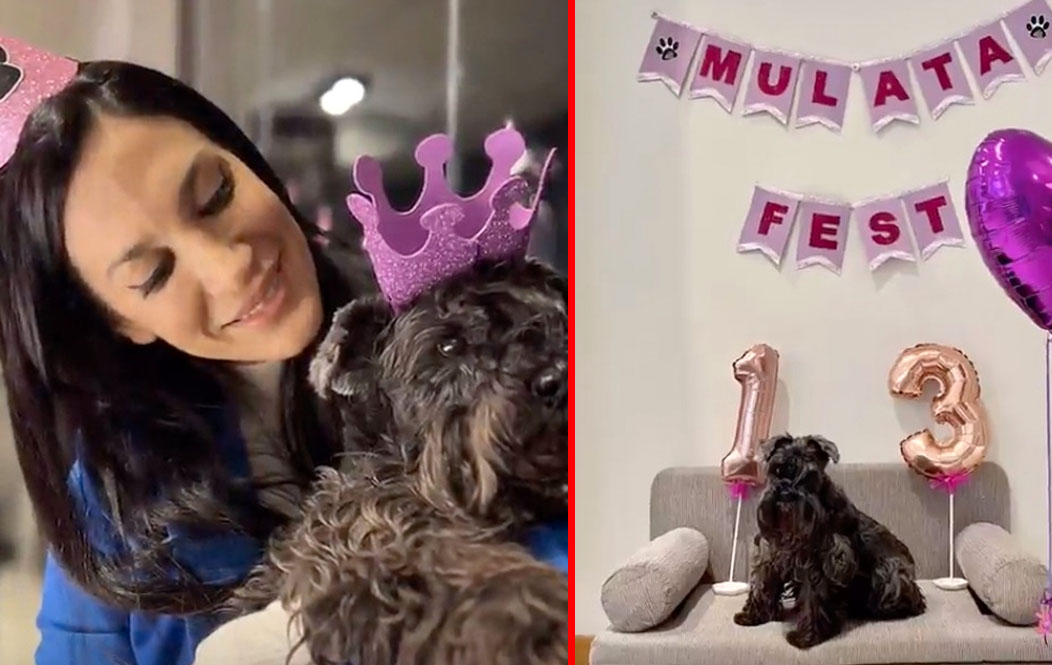 El cumpleaños que Silvina Escudero armó para su perra Mulata al estilo Barbie