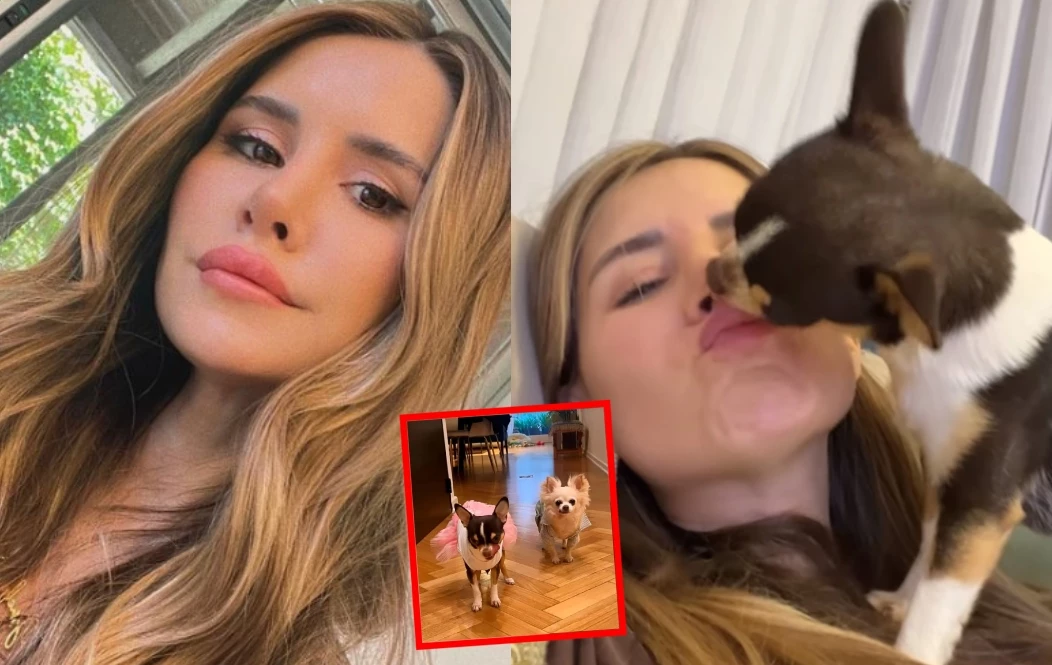 Mica Tinelli le festejó el cumpleaños a su perra.