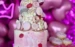 La torta de cumpleaños para Olivia Alfonso
