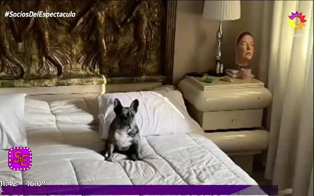 ESPELUZNANTE: EN UNA DE LAS MESITAS DE LUZ DE LA CASA DE LOTOCKI HAY COMO UNA MASCARA DE LATEX. ¿PARA QUE LA QUIERE?