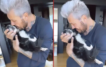 La triste y conmovedora despedida de Marcelo Tinelli a París, su perrita de 18 años