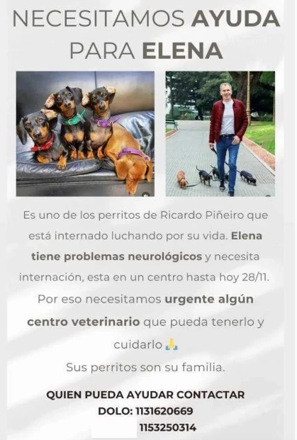 La colecta solidaria para la perra de Ricardo Piñeiro