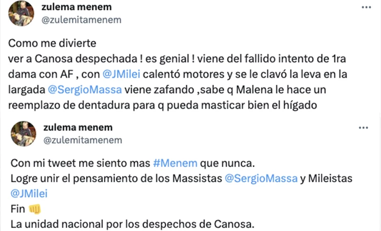 ZULEMITA MENEM SE METIO CON CANOSA Y LE PEGÓ DONDE MAS LE DUELE A UNA MUJER A TRAVES DE ESTOS TUITS: EL DESPECHO. ESO NO SE HACE.