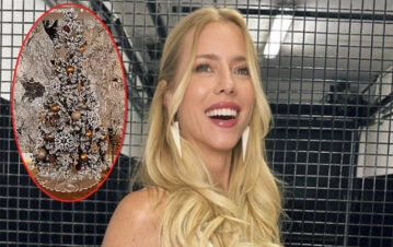 El increíble árbol de Navidad que hizo Nicole Neumann a horas de casarse y confirmar su embarazo