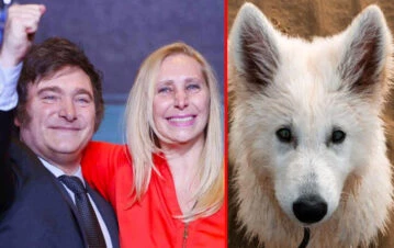 El perro viral de Javier Milei: por qué Aarón se volvió famoso de un día para otro