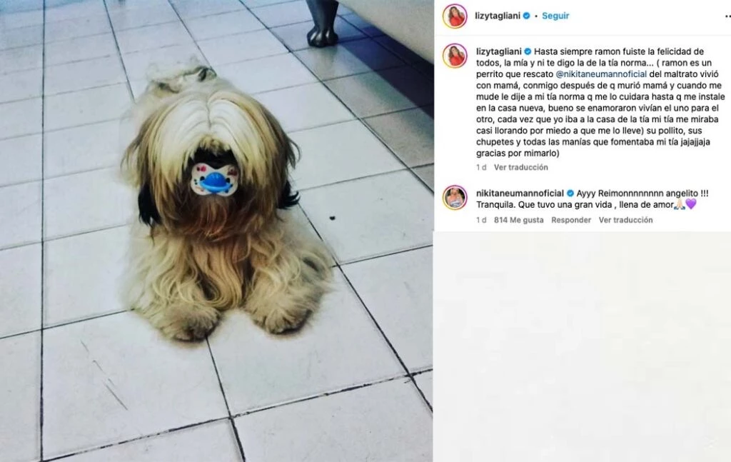 Lizy Tagliani despidió a su perro.