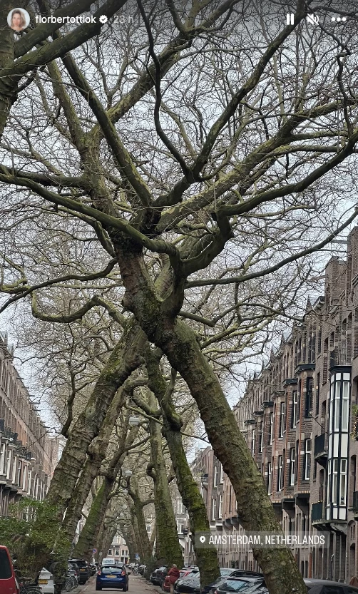 Flor Bertotti de viaje por Países Bajos