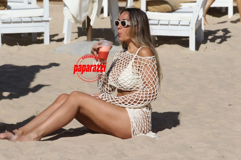 Floppy Tesouro descansando en la playa