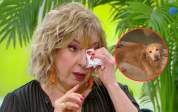 Georgina Barbarossa estalló contra el dueño del perro abandonado y desnutrido