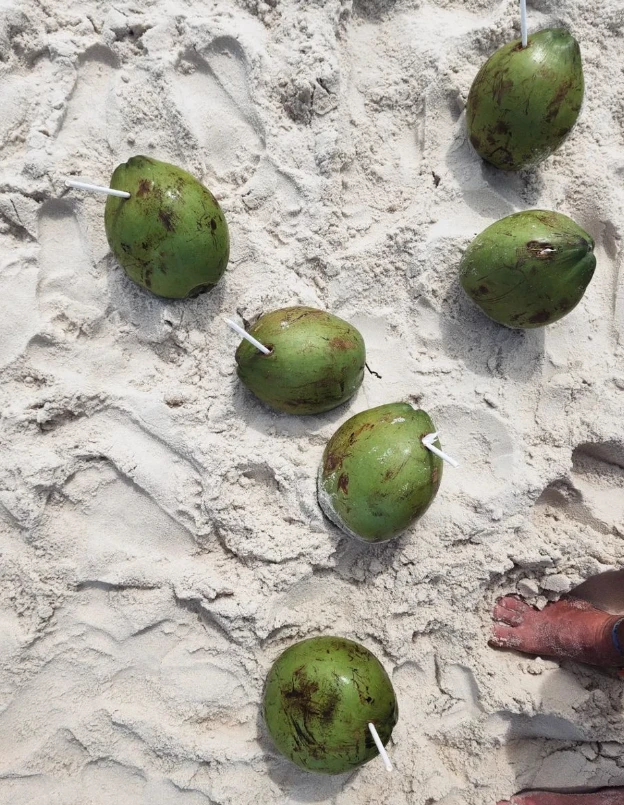 Emilia Attias en la playa