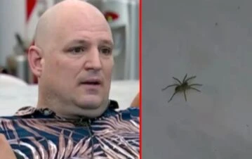Pánico en Gran Hermano: una araña invadió la casa y Ariel suplicó por su vida